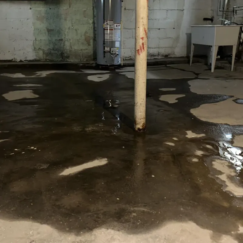 Emergency Water Extraction And Removal in Burnham, PA